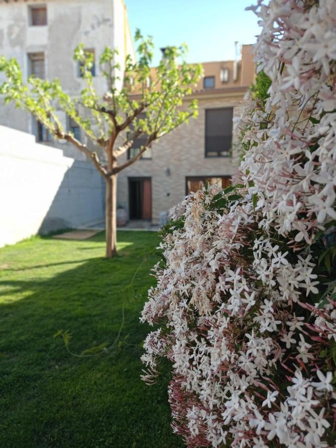 Casa Rural Alicia Hotel Villafranca de Ebro Exterior foto