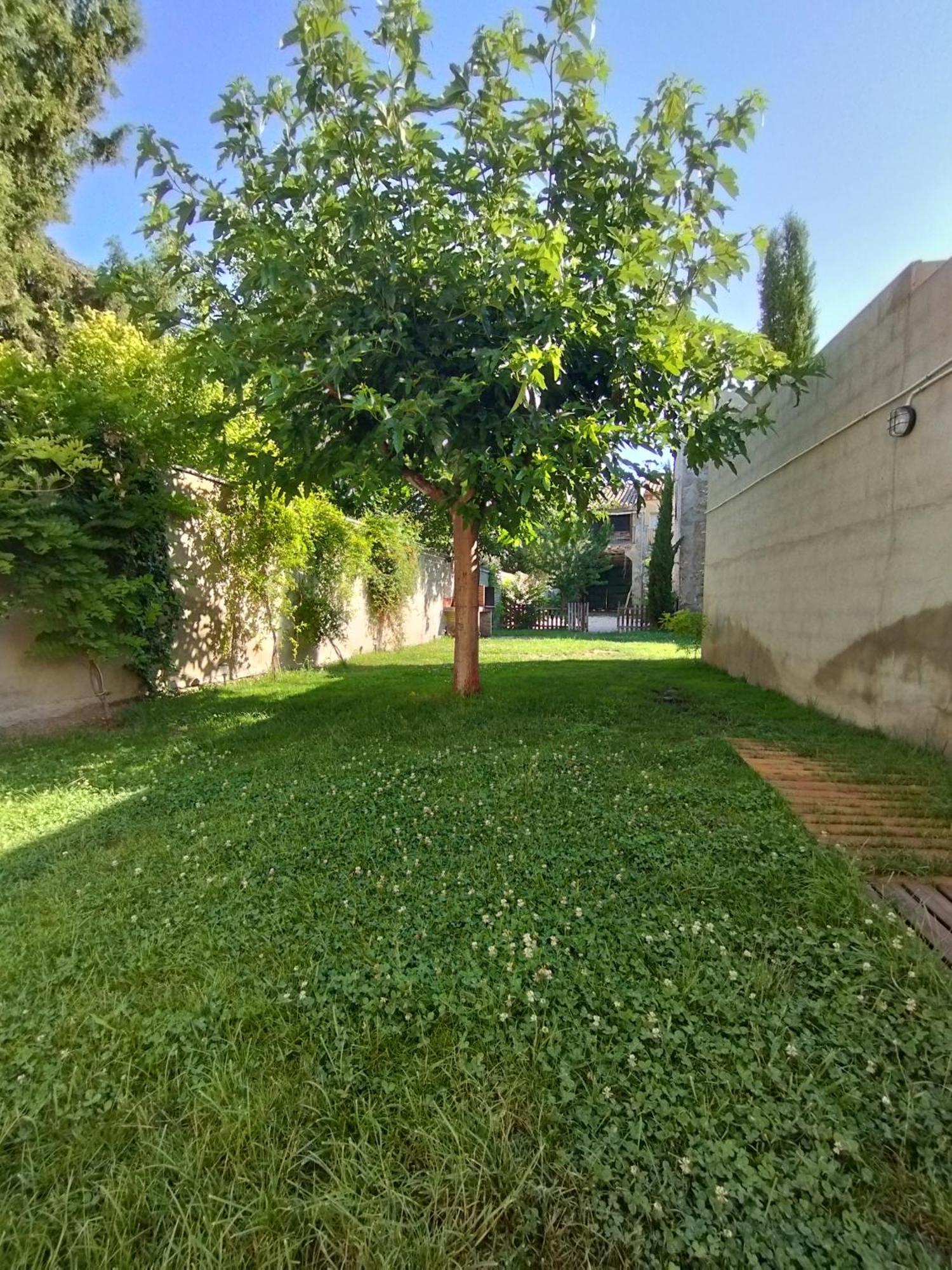Casa Rural Alicia Villafranca de Ebro Exterior foto